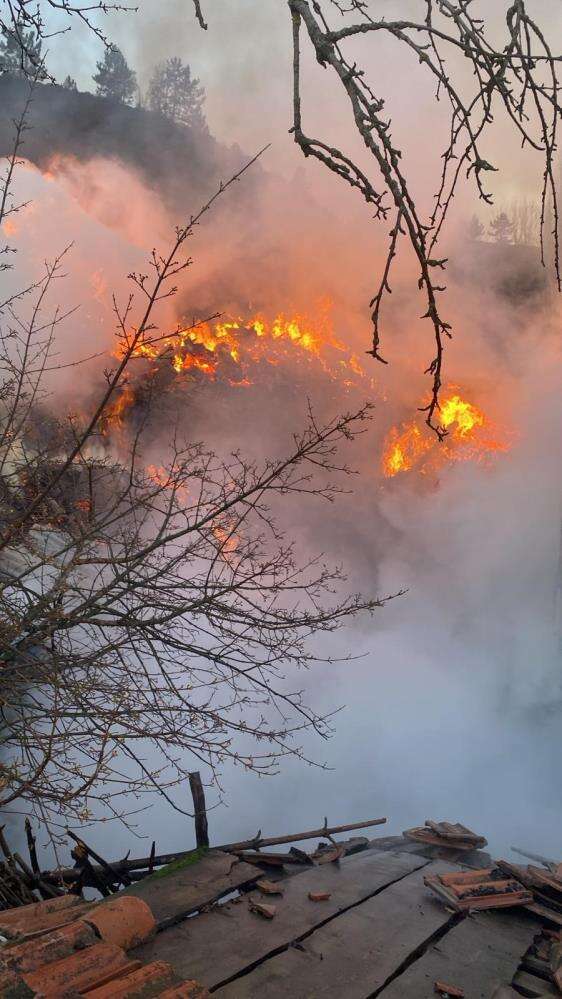 Köyde yangın çıktı, evler ve ahırlar küle döndü 2